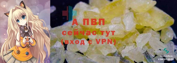 mdpv Волоколамск