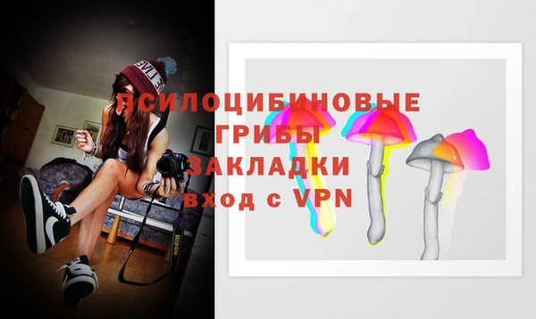 mdpv Волоколамск