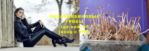 mdpv Волоколамск