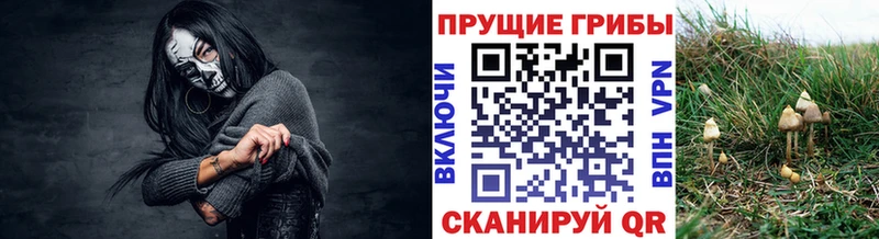 Галлюциногенные грибы мухоморы  Купить  Лодейное Поле 